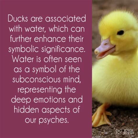 Duck Meaning .